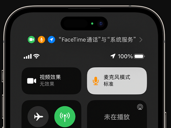 嘉兴苹果授权维修网点分享iPhone在通话时让你的声音更清晰 