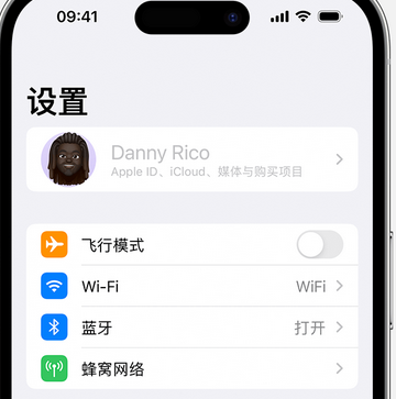 嘉兴appleID维修服务iPhone设置中Apple ID显示为灰色无法使用 