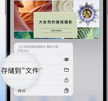 嘉兴apple维修中心分享iPhone文件应用中存储和找到下载文件