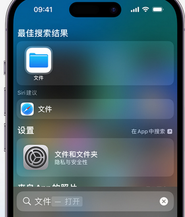 嘉兴apple维修中心分享iPhone文件应用中存储和找到下载文件 