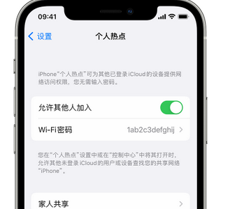 嘉兴apple服务站点分享iPhone上个人热点丢失了怎么办