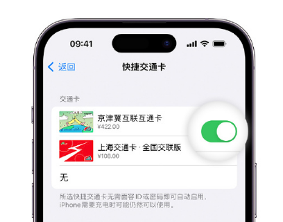 嘉兴apple维修点分享iPhone上更换Apple Pay快捷交通卡手绘卡面 