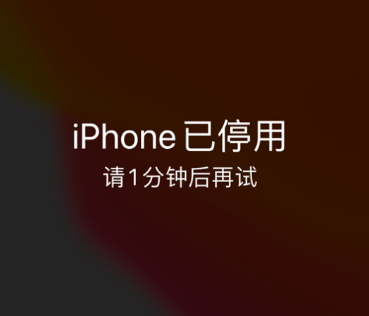 嘉兴苹果手机维修分享:iPhone 显示“不可用”或“已停用”怎么办？还能保留数据吗？ 