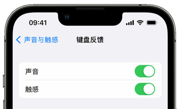 嘉兴苹果手机维修分享iPhone 14触感键盘使用方法 