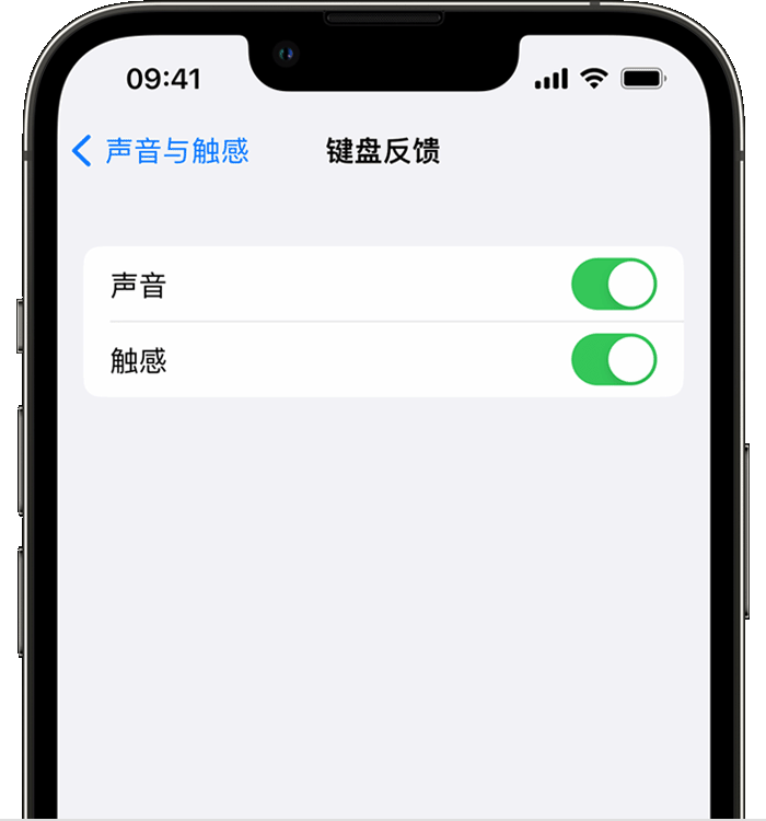 嘉兴苹果14维修店分享如何在 iPhone 14 机型中使用触感键盘 