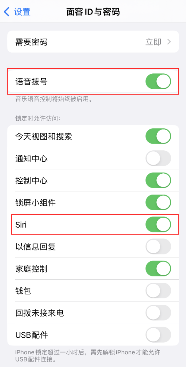 嘉兴苹果维修网点分享不解锁 iPhone 的情况下通过 Siri 拨打电话的方法 