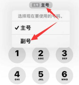 嘉兴苹果14维修店分享iPhone 14 Pro Max使用副卡打电话的方法 