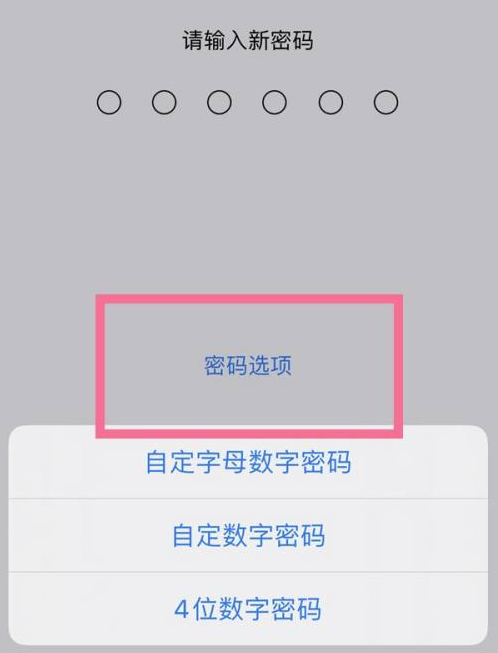 嘉兴苹果14维修分享iPhone 14plus设置密码的方法 