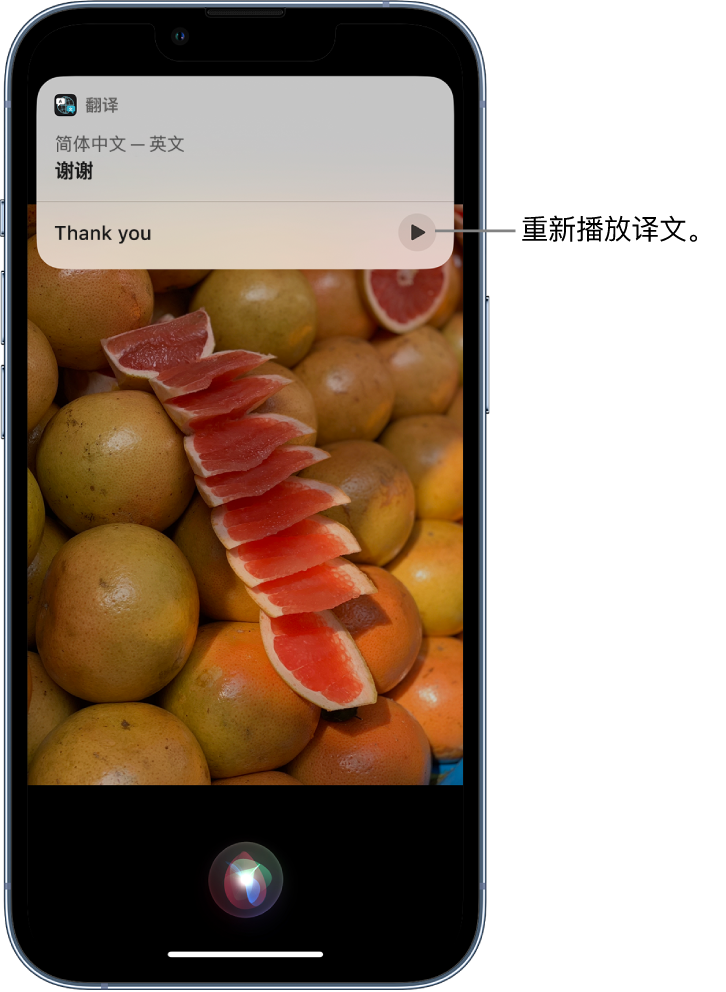 嘉兴苹果14维修分享 iPhone 14 机型中使用 Siri：了解 Siri 能帮你做什么 