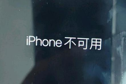 嘉兴苹果服务网点分享锁屏界面显示“iPhone 不可用”如何解决 