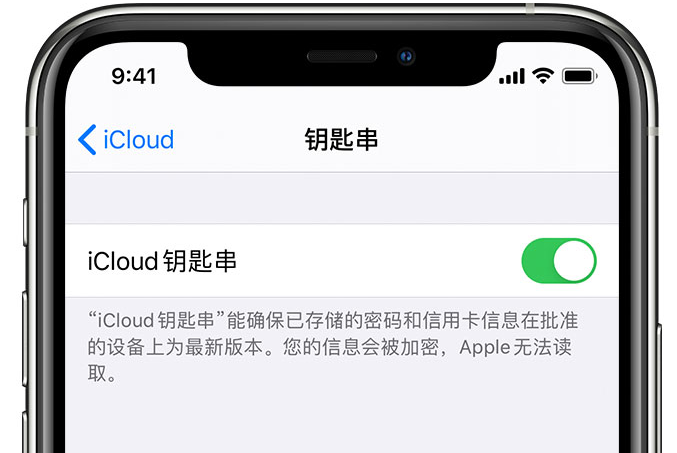 嘉兴苹果手机维修分享在 iPhone 上开启 iCloud 钥匙串之后会储存哪些信息 