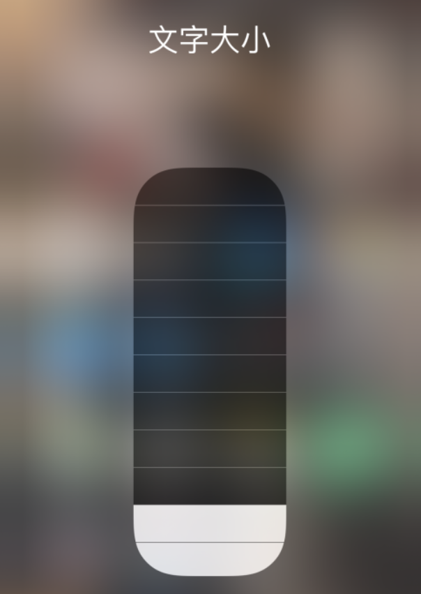 嘉兴苹果手机维修分享小技巧：在 iPhone 控制中心快速调节字体大小 