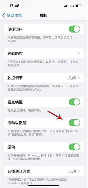 嘉兴苹果手机维修分享iPhone手机如何设置摇一摇删除文字 